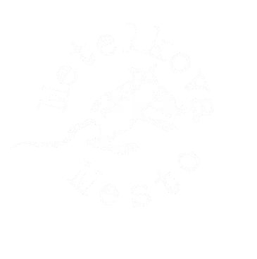 Metelkova mesto