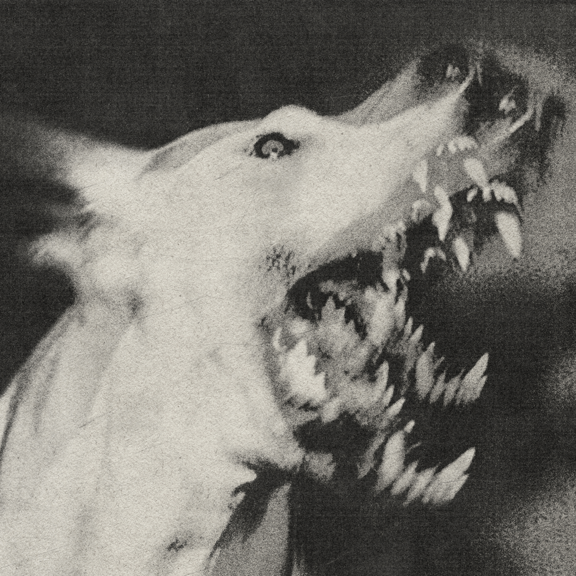 Ciśnienie: [angry noises] (samozaložba)