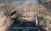 Don Caballero - Gang Banged ...