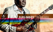 Djelimady Tounkara: Djely Blues