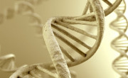 starodavna DNK