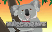 Avstralija koala