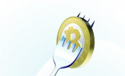bitcoin fork