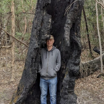 Mož stoji v razpoki mrtvega a še stoječega drevesa