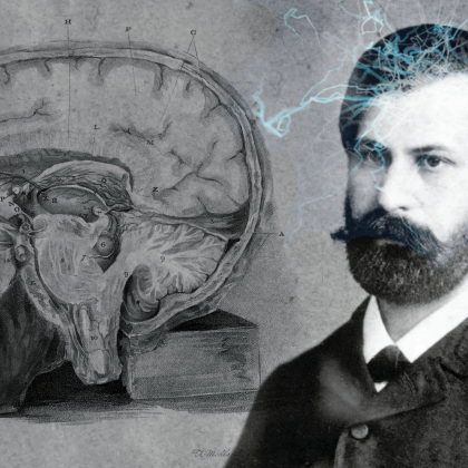Na levi sagitalni presek možganov, na desni mladi Freud z elektriko na glavi