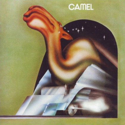 Camel