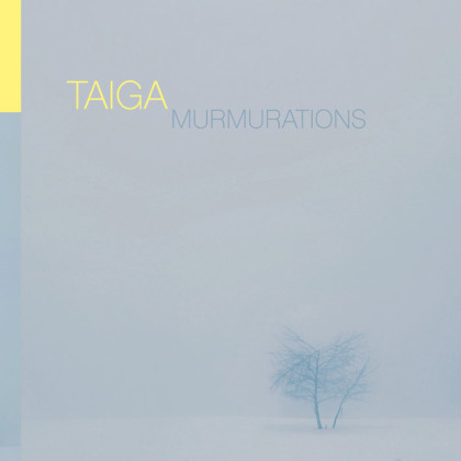 Štaiga: Murmurations