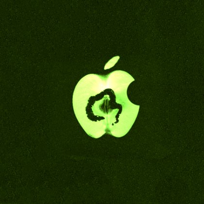 FSFE DMA Apple litigation