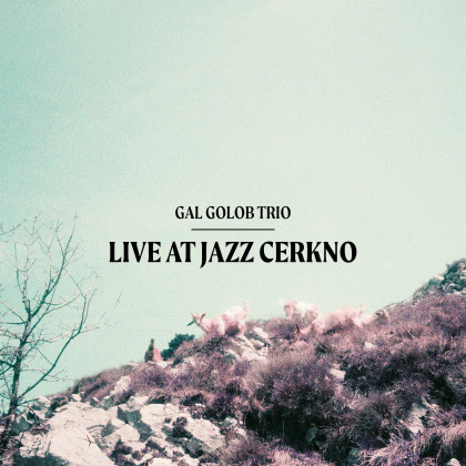 Gal Golob Trio: Live at Jazz Cerkno