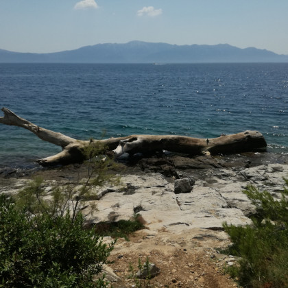 Seznam skladb, 8. 4. 2025 (14.00–18.00)
