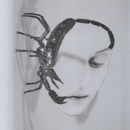 Tortoise – Layered Presence
