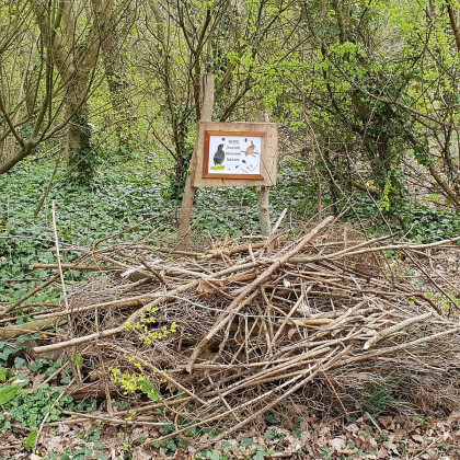 bug hotel