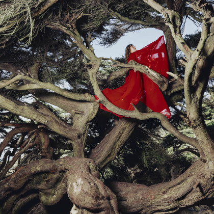 Hannah Frances: Nested in Tangles