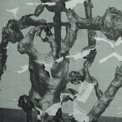 II/III: two out of three