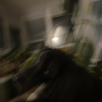 Seznam skladb za 14. 12. 2025, 14.00–18.00 (Nika Štrus)