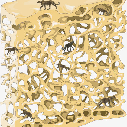 Gepardi, ki se izgubljajo v medkostnih jamicah