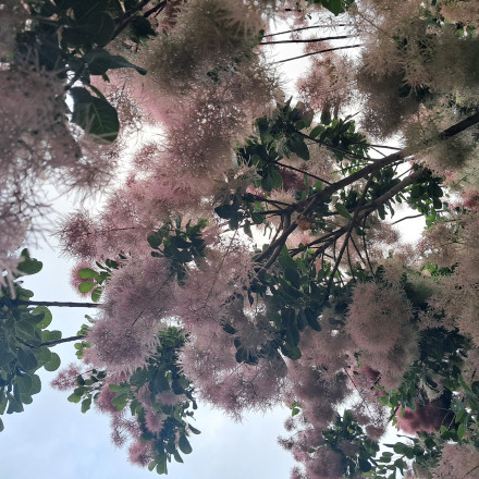 Seznam skladb za 10. 3. 2026, 14.00–18.00 (Nina Zajc)