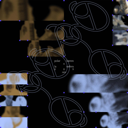 Polarbæren x La Nefera – Oro