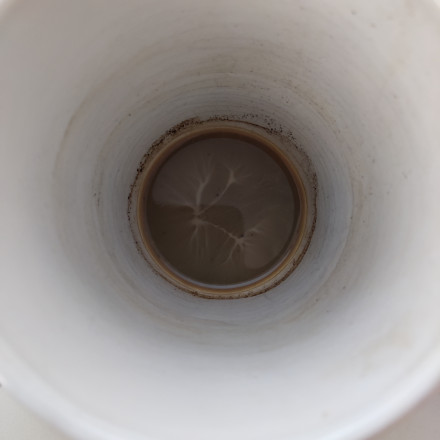 Seznam skladb za 17. 3. 2026, 14.00–18.00 (Aljaž Murovec)