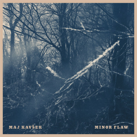 Maj Kavšek: Minor Flaw