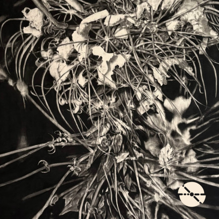 Fejzo DJ – Relax But Not Too Much