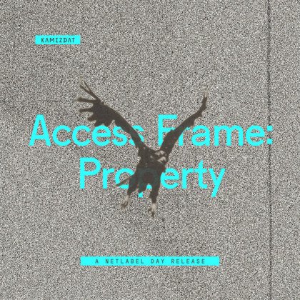 Access Frame: Property