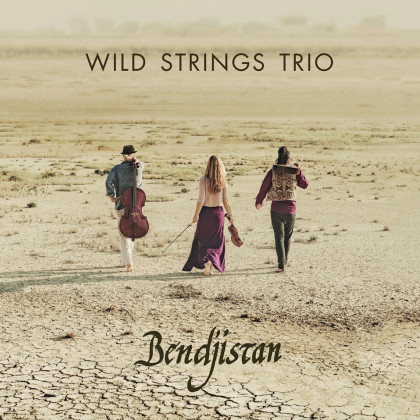 Wild Strings Trio Svašta