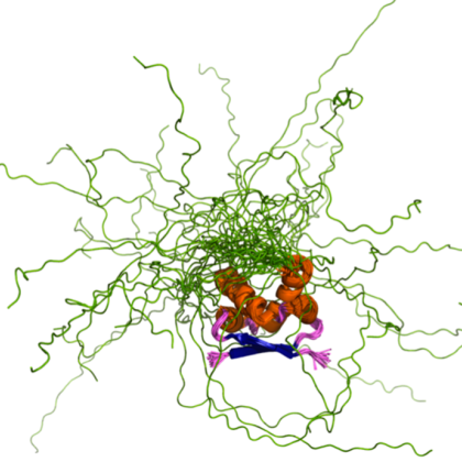 Slika prikazuje struktruo intrinzično neurejenga proteina