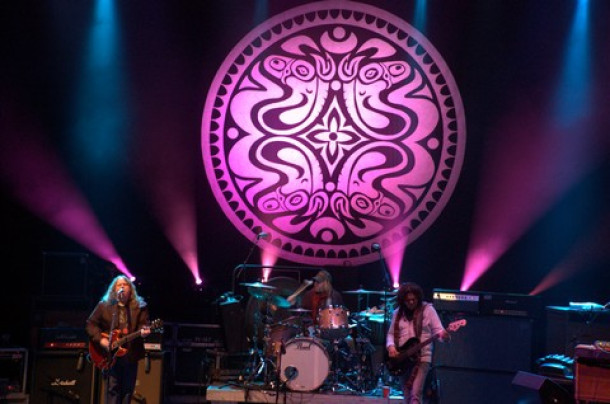 gov't mule