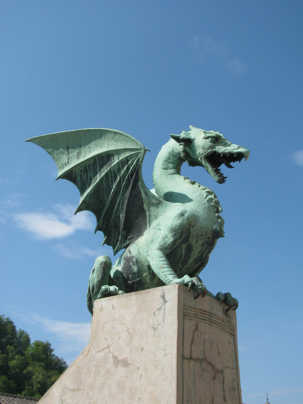 Klopca pod svobodnim soncem RŠ Dragon phpto  by JeanN