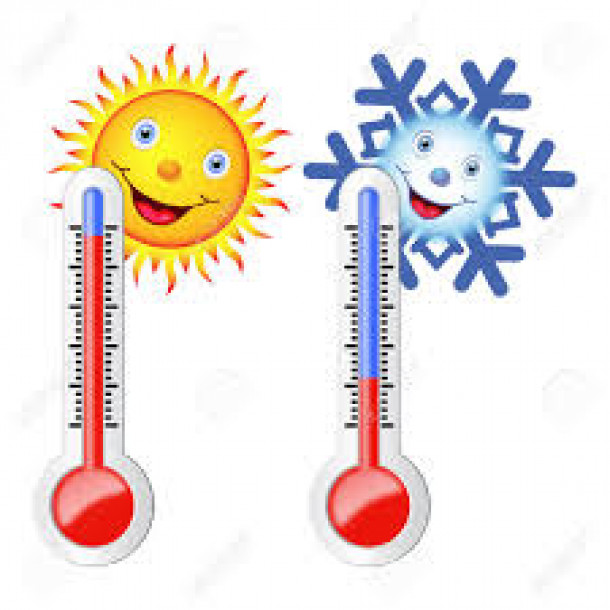 Zaznava temperatur je osnova uspešne termoregulacije. 