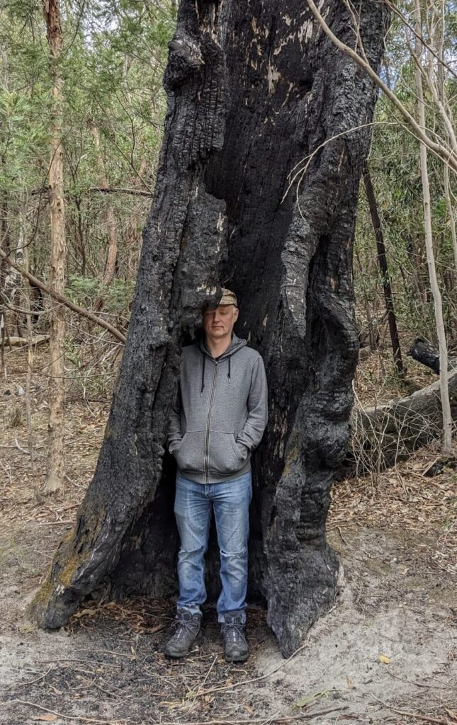Mož stoji v razpoki mrtvega a še stoječega drevesa