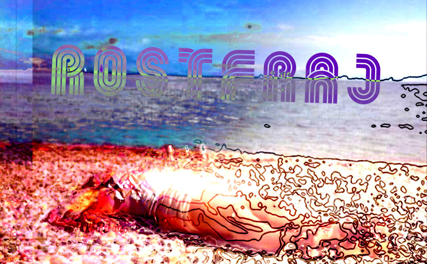 238