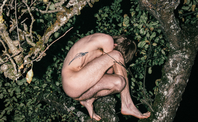 Vsemag – Zvito oko