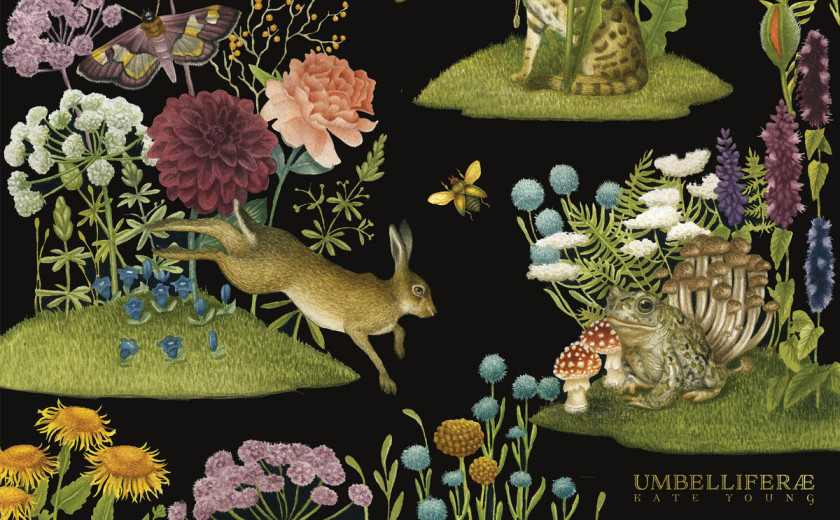 Kate Young: Umbelliferæ