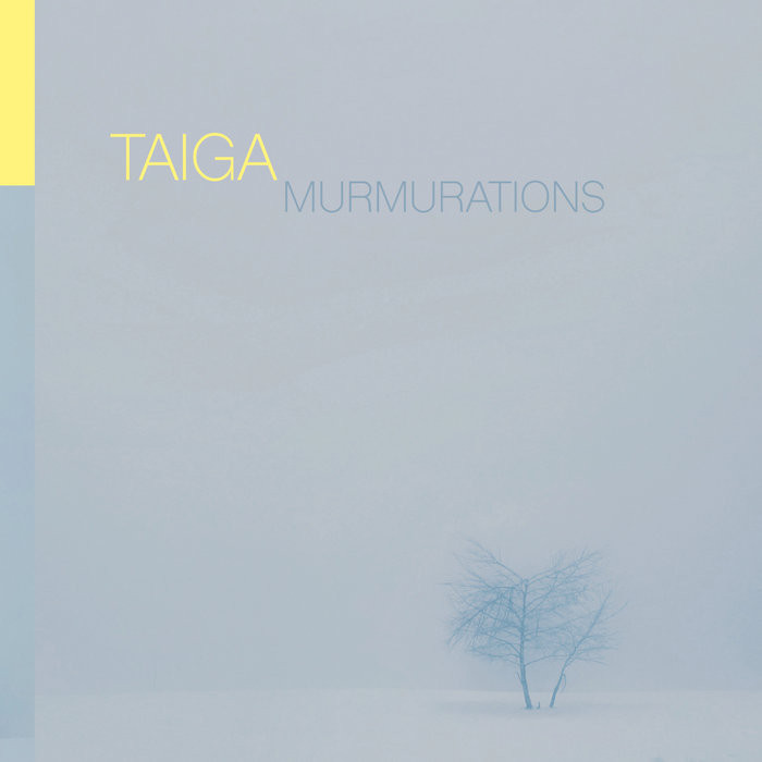 Štaiga: Murmurations