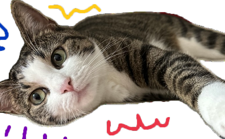 mačka čačka