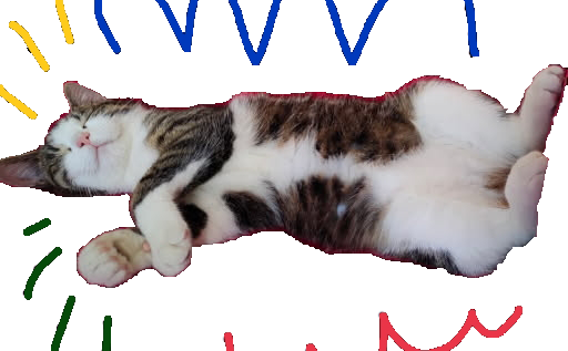 mačka čačka