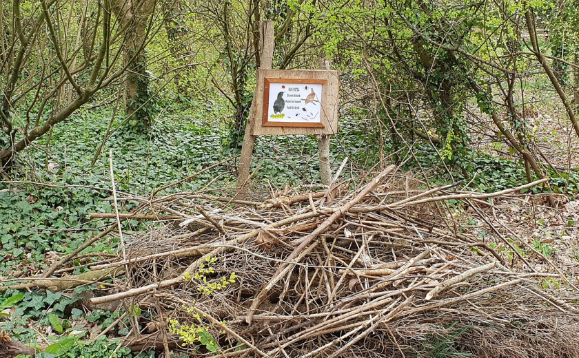 bug hotel