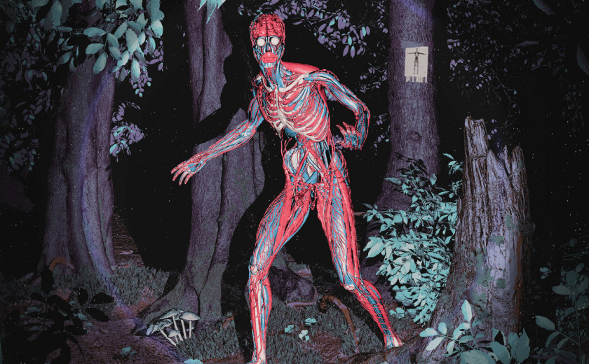 Koikoi: O sreći u snovima