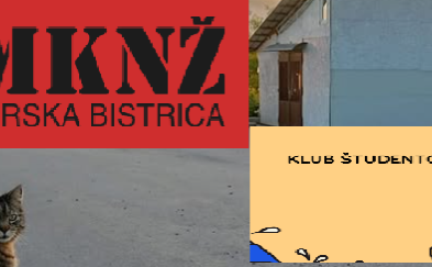 Primorskih klubovšta?