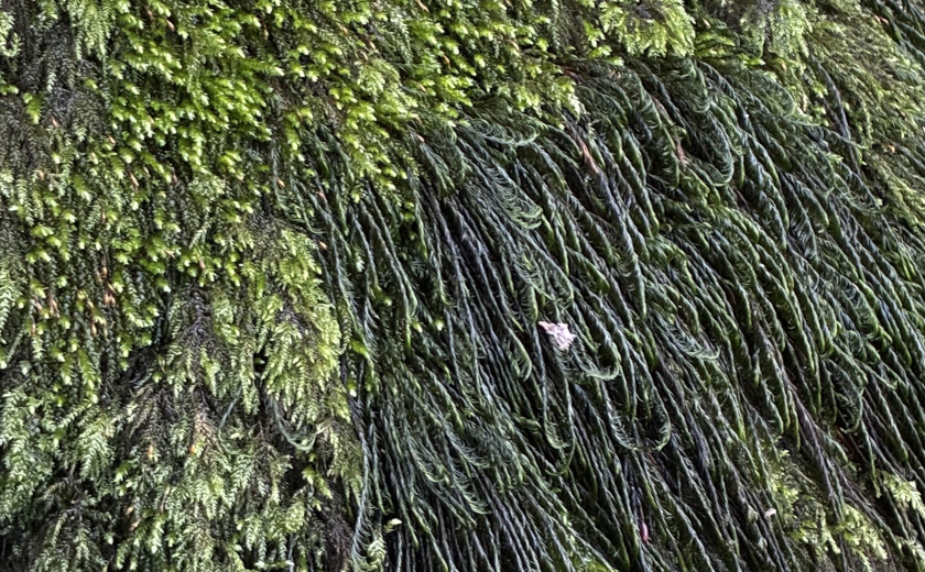 G2B (7.00–11.00) (UKK)