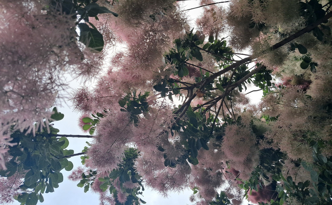 Seznam skladb za 10. 3. 2026, 14.00–18.00 (Nina Zajc)