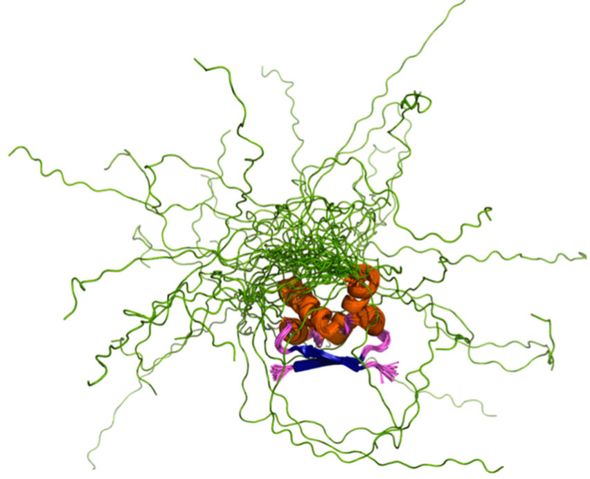 Slika prikazuje struktruo intrinzično neurejenga proteina