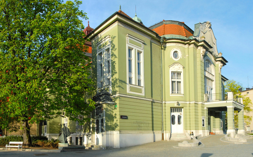 kostanj