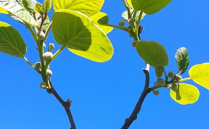 osebni arhiv